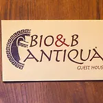 Bio&b Antiqua