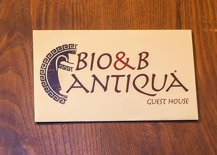 Bio&b Antiqua